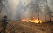 В забранената зона около АЕЦ "Чернобил" бушува огромен пожар