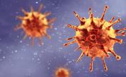  Как коронавирусът се предава безсимптомно 