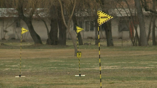  Смелост и роднински връзки в 