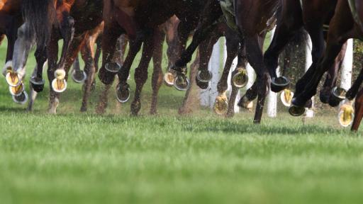  <p>Фредерик Велики, разгласен за най-красив в света</p> 