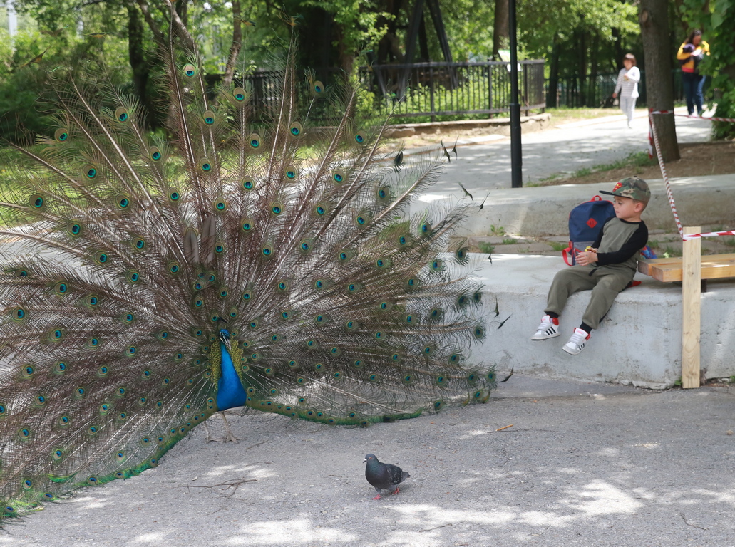 <p>Зоологическа градина &ndash; София</p>