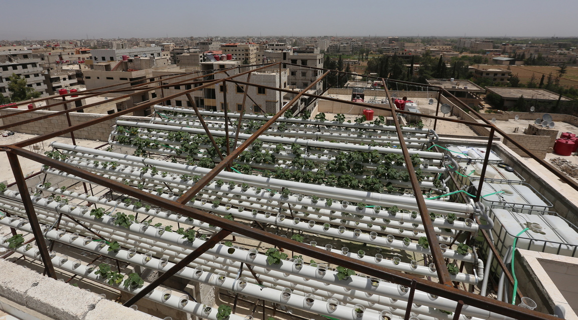 <p>Зеленчукова градина на покрива на жилищна сграда в Дамаск, Сирия</p>