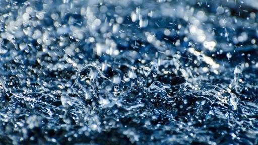  Снимка: pixabay 