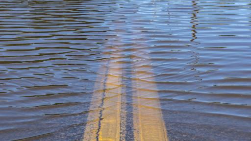  <p>Отводняват 10 къщи в село Пчелище</p> 