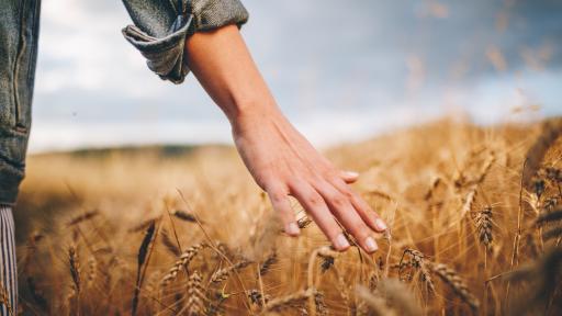  Трите значими съвета, които всяка зодия би трябвало да научи 