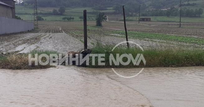 България Мощна буря и порой се развиха в Гоцеделчевско Наводнени