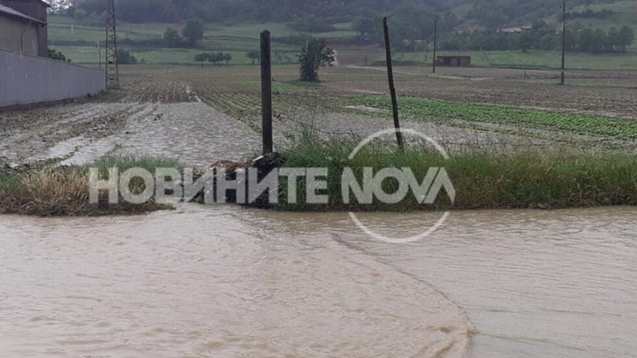  Мощна стихия и проливен дъжд се развиха в Гоцеделчевско 
