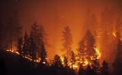  Големи пожари избухнаха на гръцките острови Евия и Крит 