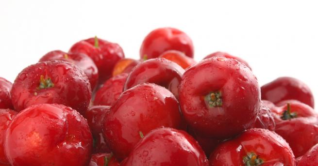 Любопитно Този плод е чудо за имунната система Ацеролата съдържа