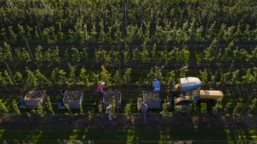  Безработните с опция за трудова претовареност на полето, без отнемане от помощи 