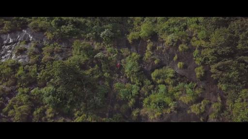  Изгубената гора 