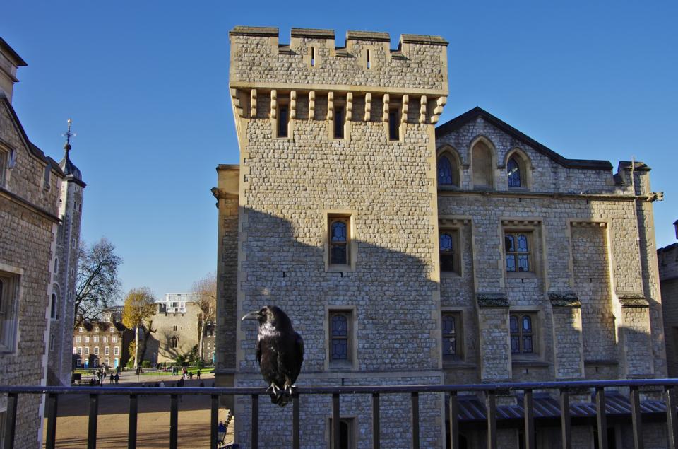  гарвани Тауър 