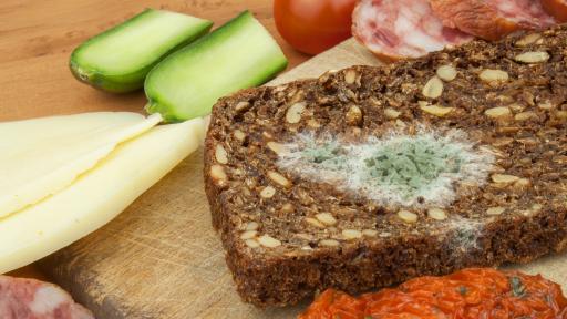  <p>Мухлясала храна: Какво се случва с тялото ни&nbsp;</p> 