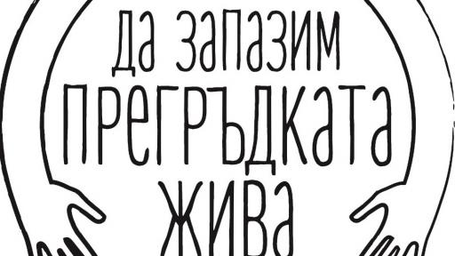  Разсейването с телефон – пандемията при злополуките 