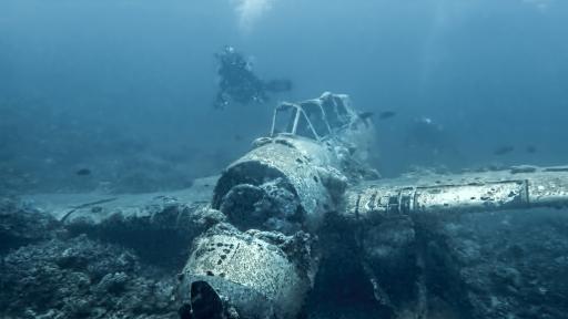  <p>Потънал аероплан чака гости (ВИДЕО)&nbsp;&nbsp;</p> 