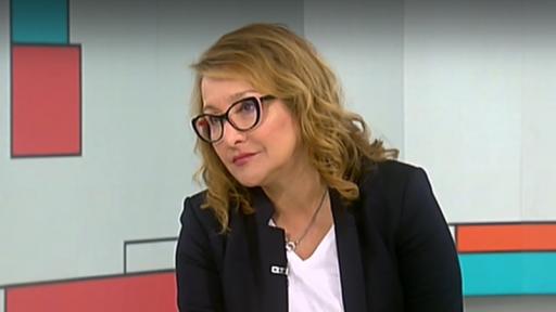  Проф. Христова за Радев: Разделяй и владей 