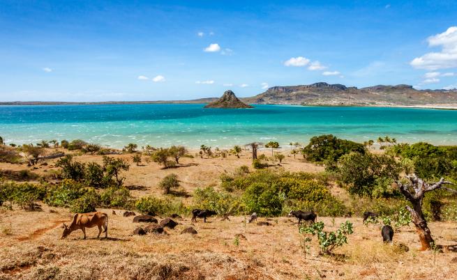  Мадагаскар 