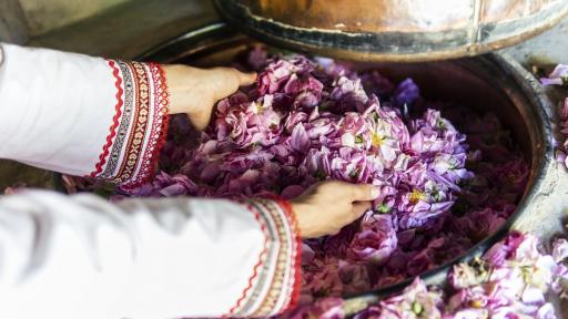  Китайско вместо българско розово масло 