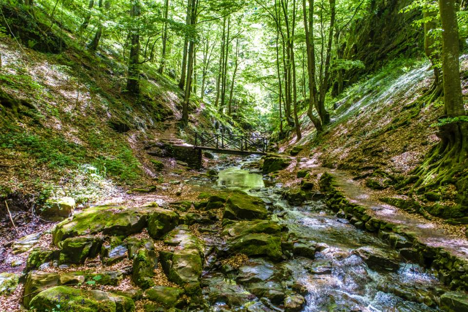  тетевен хрумвания пътешестване 