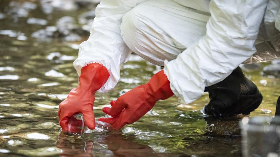  Отровите във водите на Марица пристигнали от „ Неохим “ АД, откри инспекцията 