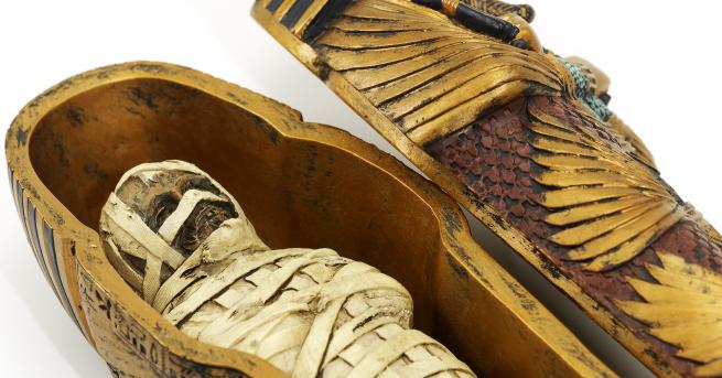Любопитно Тези две миниатюрни мумии оставиха изненадани археолозите Те са
