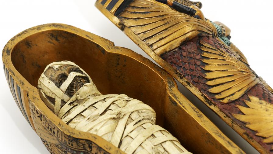  Тези две дребни мумии оставиха сюрпризирани археолозите 