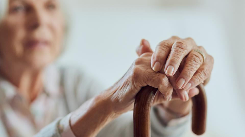 Учени от Университетския колеж в Лондон изброяват основните причини за деменцията
