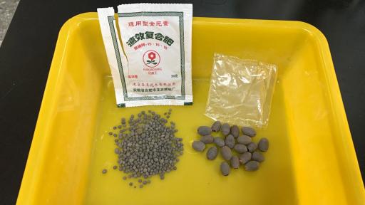  Мистериозни семена идват от Китай по пощата 