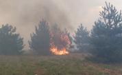  Пожарът в Хасковско обхвана съвсем 100 000 дка повърхност 