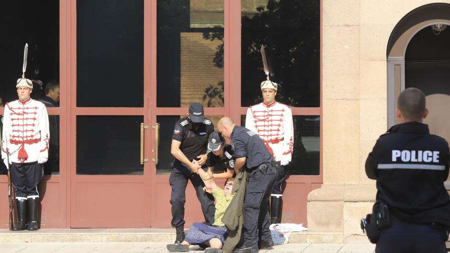 МВР: Жена се опита да нахлуе в сградата на Президентството