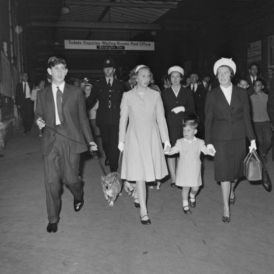 9-те тайни на кралските бавачки