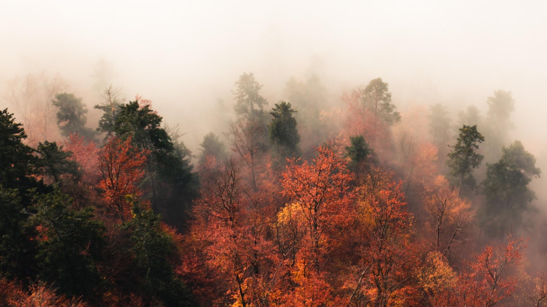 През нощта облачността ще е по често значителна Превалявания от дъжд