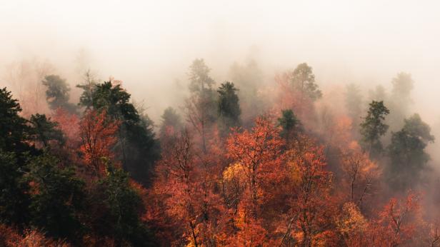 Седмицата започва със слънце и мъгли