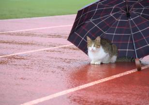 Валежите спират през новата седмица