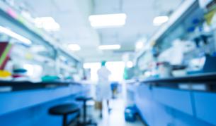 Снимката е илюстративна