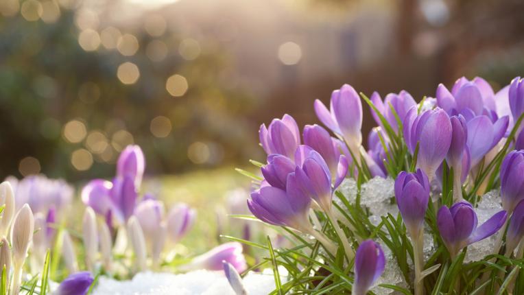  Изберете си картинка и разберете какво ще ви донесе февруари 