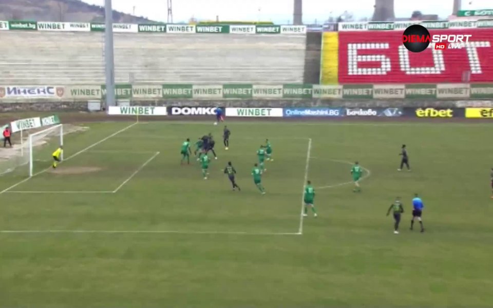 Очаквано, пролетта в Берое разцъфна още със завръщането на Мартин