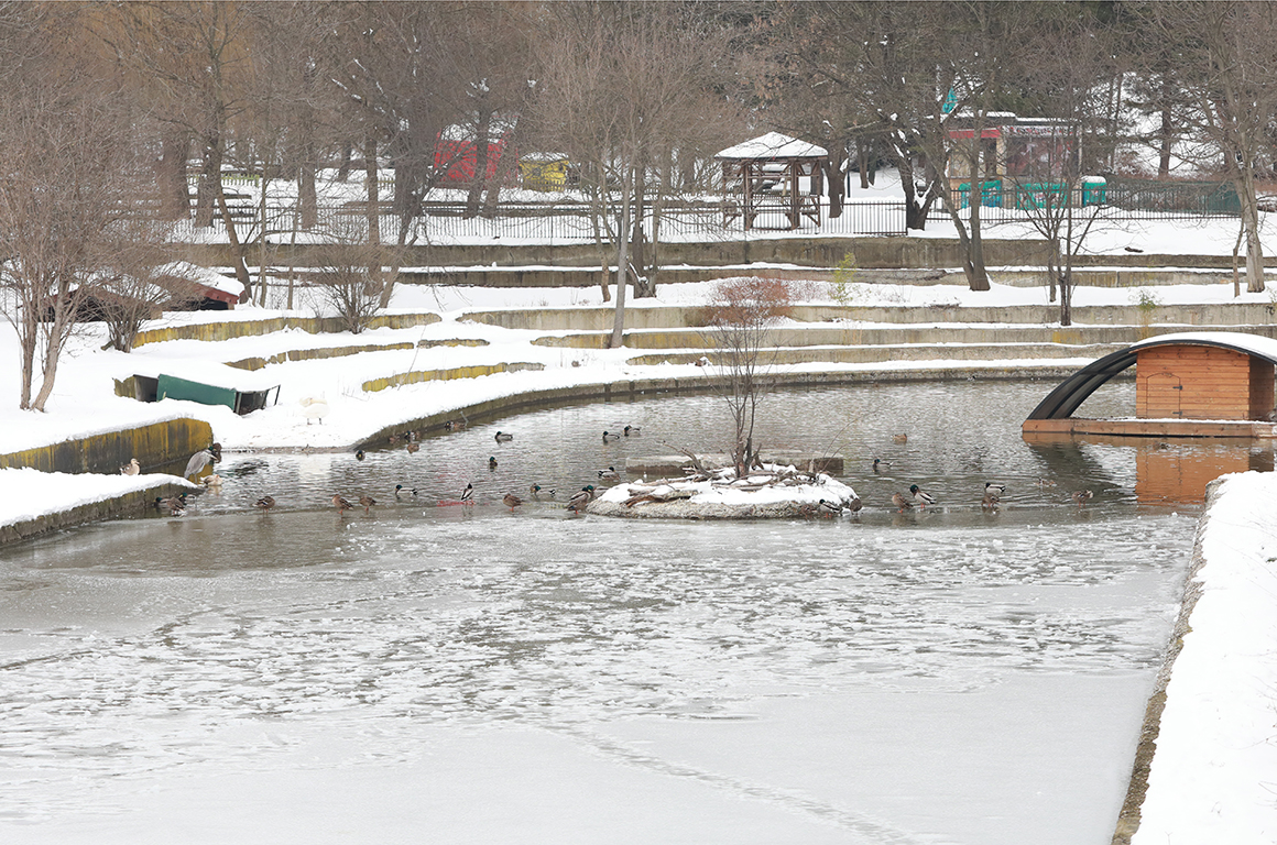 <p>Зоопарк София</p>