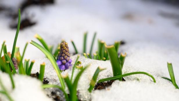 Сняг в края на март