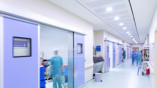  Директорът на 