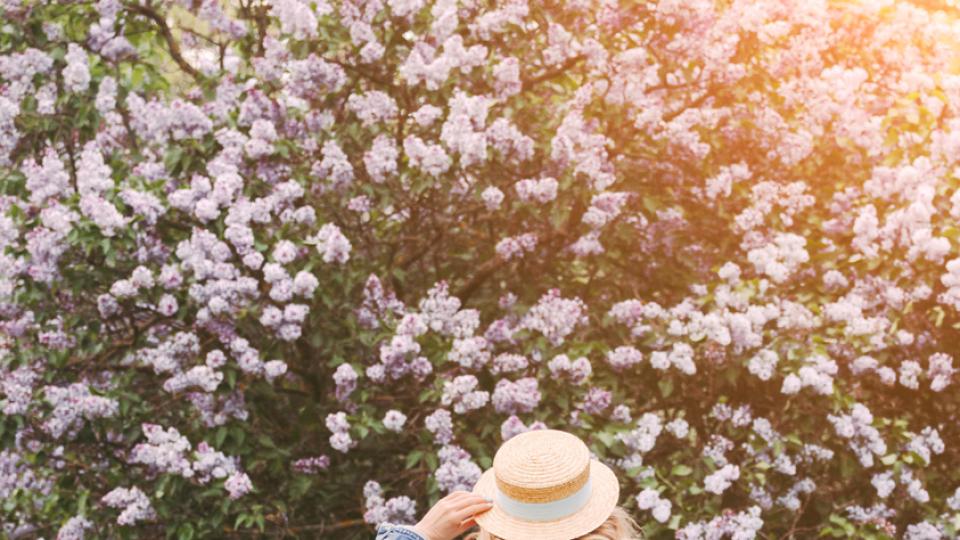 Дневен хороскоп за 19 март, четвъртък