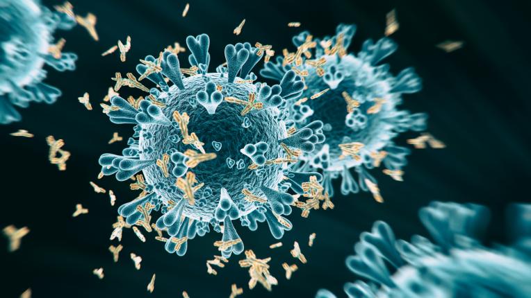 Какво знаем за ефикасността на ваксините и предаване на коронавируса от имунизирани