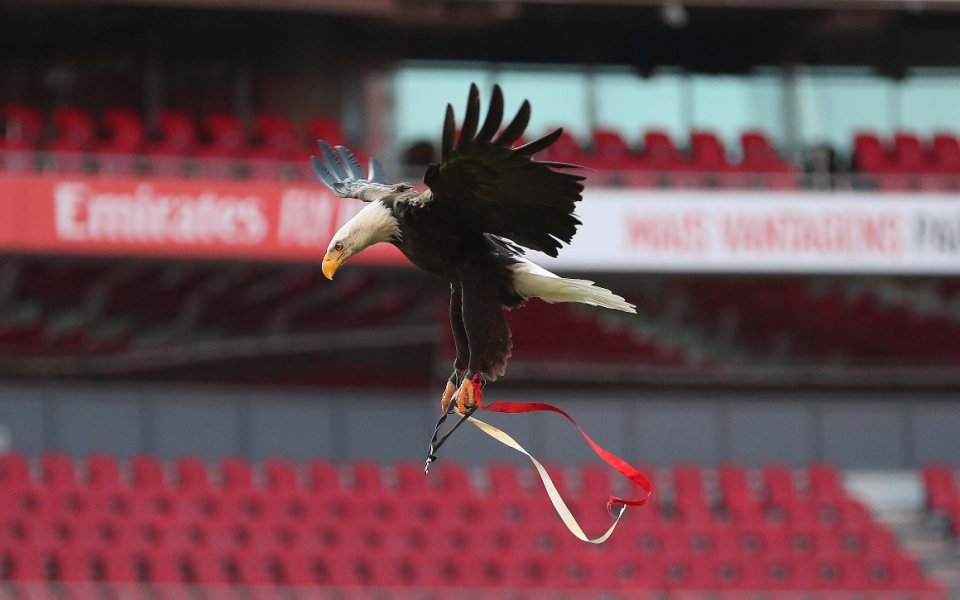 Португалският гранд Бенфика категорично отхвърли информациите, че участва в дискусии