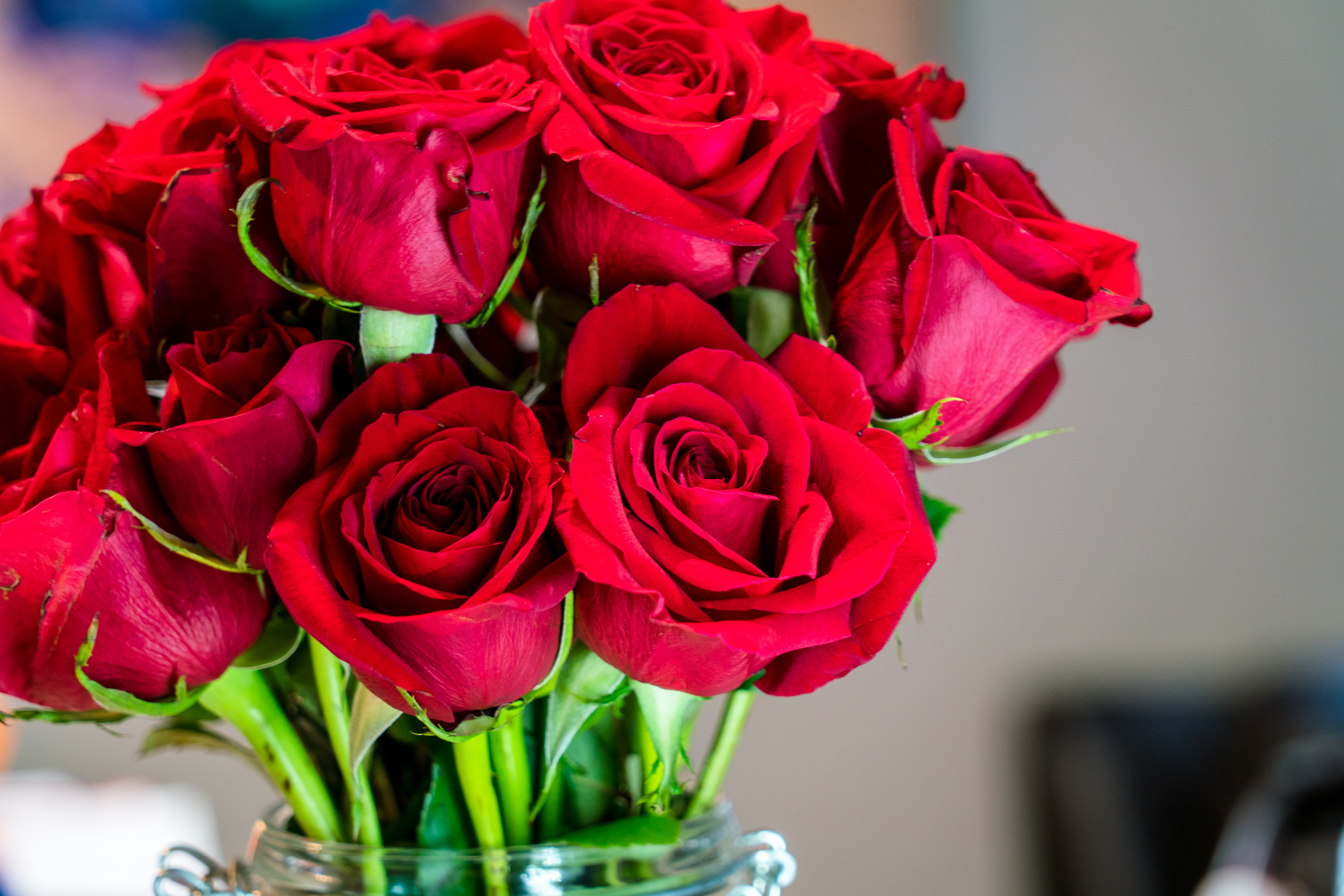 <p>Бургундско червена роза - тя означава &quot;неосъзната красота&quot;.</p>