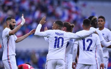 Слон оракул предрече победа на Франция срещу Германия в мача от