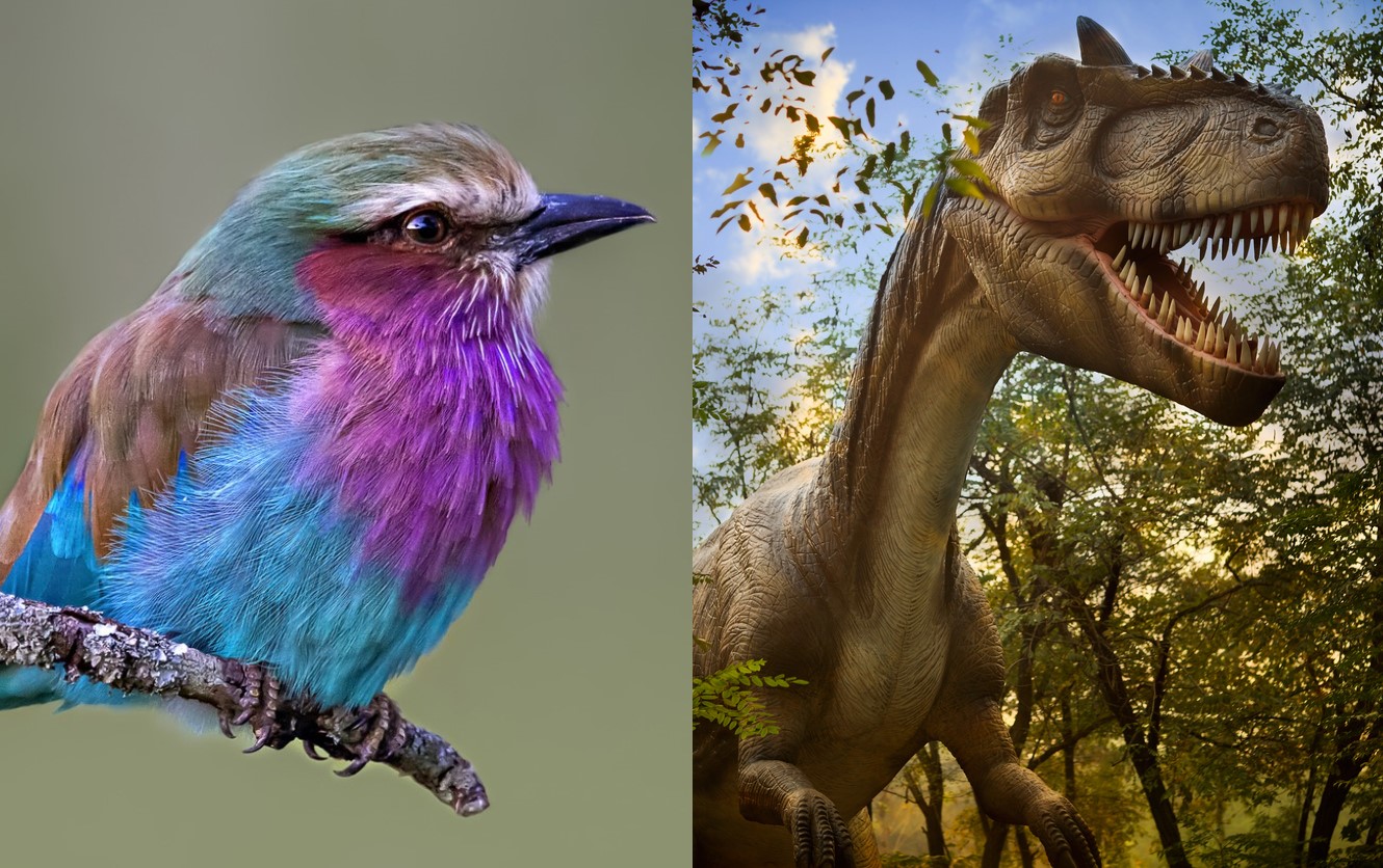 <p><strong>Птиците</strong>&nbsp;произлизат от двуногите&nbsp;<strong>динозаври</strong>&nbsp;- тероподите. През 2018 г. китайски палеонтолози отриха доказателство, което разкрива, че преди милиони години птиците са загубили своята динозавърска опашка, но тогава не са имали ветрилото&nbsp;от пера, което съществува в съвременните птици.</p>