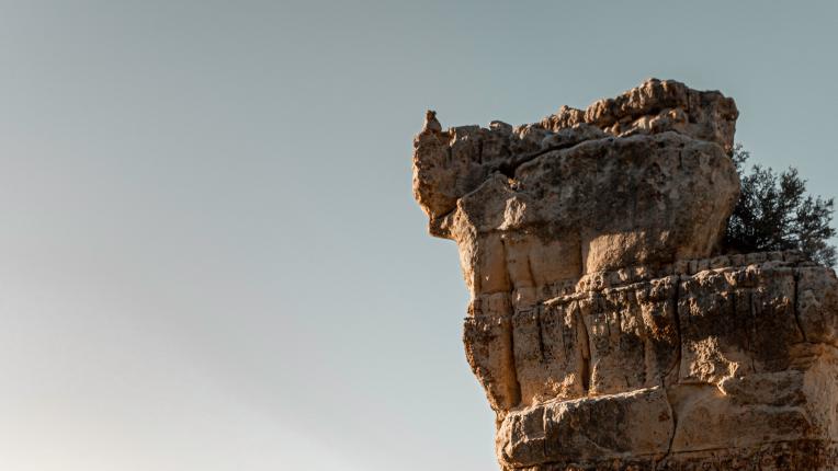  ТЕСТ: Избери чаша и виж какъв съвет би трябвало да последваш през днешния ден 