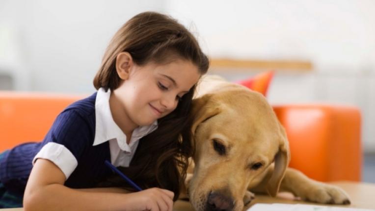 домашни любимци отговорност подрастващи хиперактивност грижовност общуване алергии възпитание куче