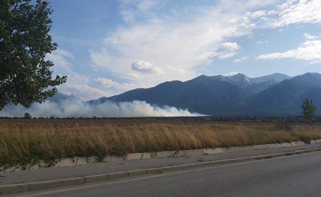 Пожар избухна в Пирин планина