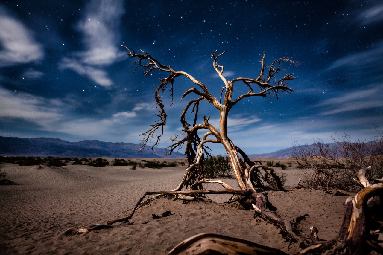 <p>Национален парк Death Valley</p>